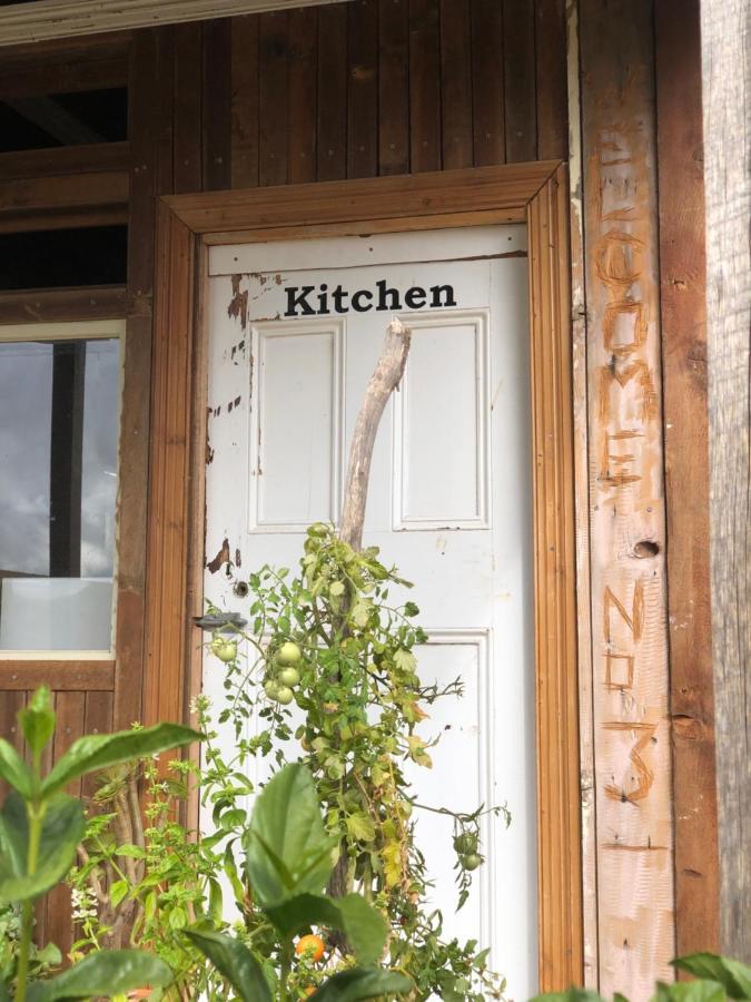 No 3 @ Bed In A Shed B&Bs Watervale Bagian luar foto
