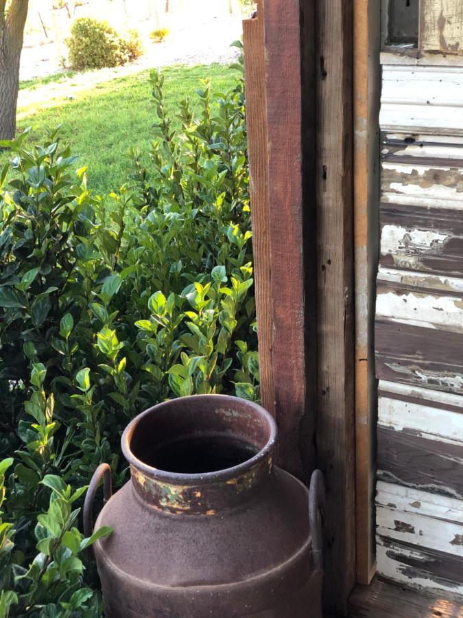 No 3 @ Bed In A Shed B&Bs Watervale Bagian luar foto